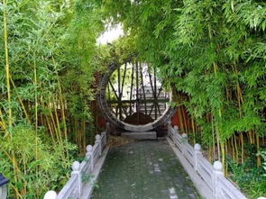 竹園 給你清涼一夏——旅游開發項目策劃咨詢報告